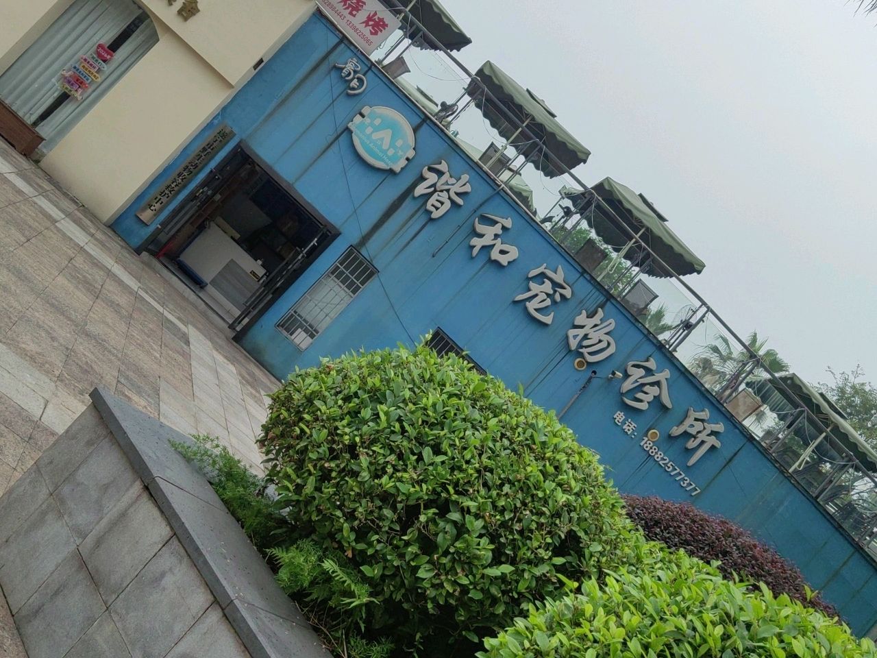 睿月谐和宠物诊所(河东店)