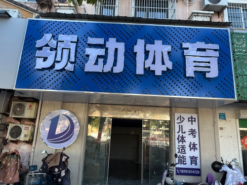 领动体育