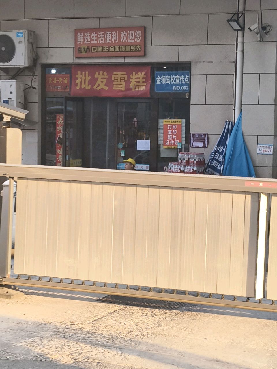 批发雪糕