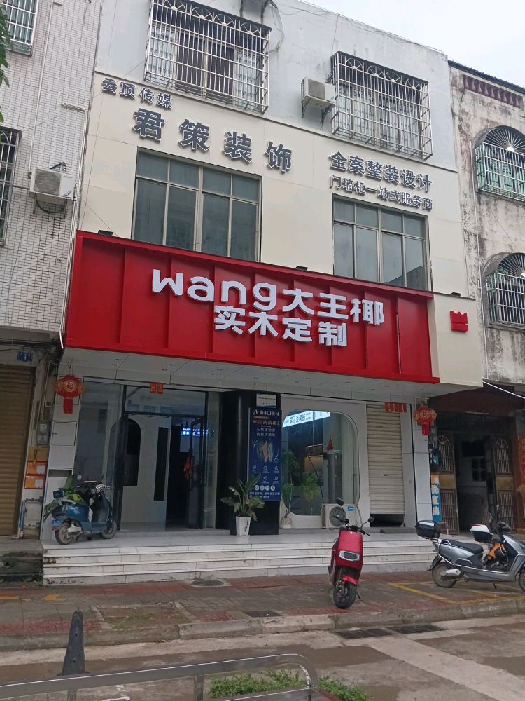 定安大王椰实木定制·全屋定制