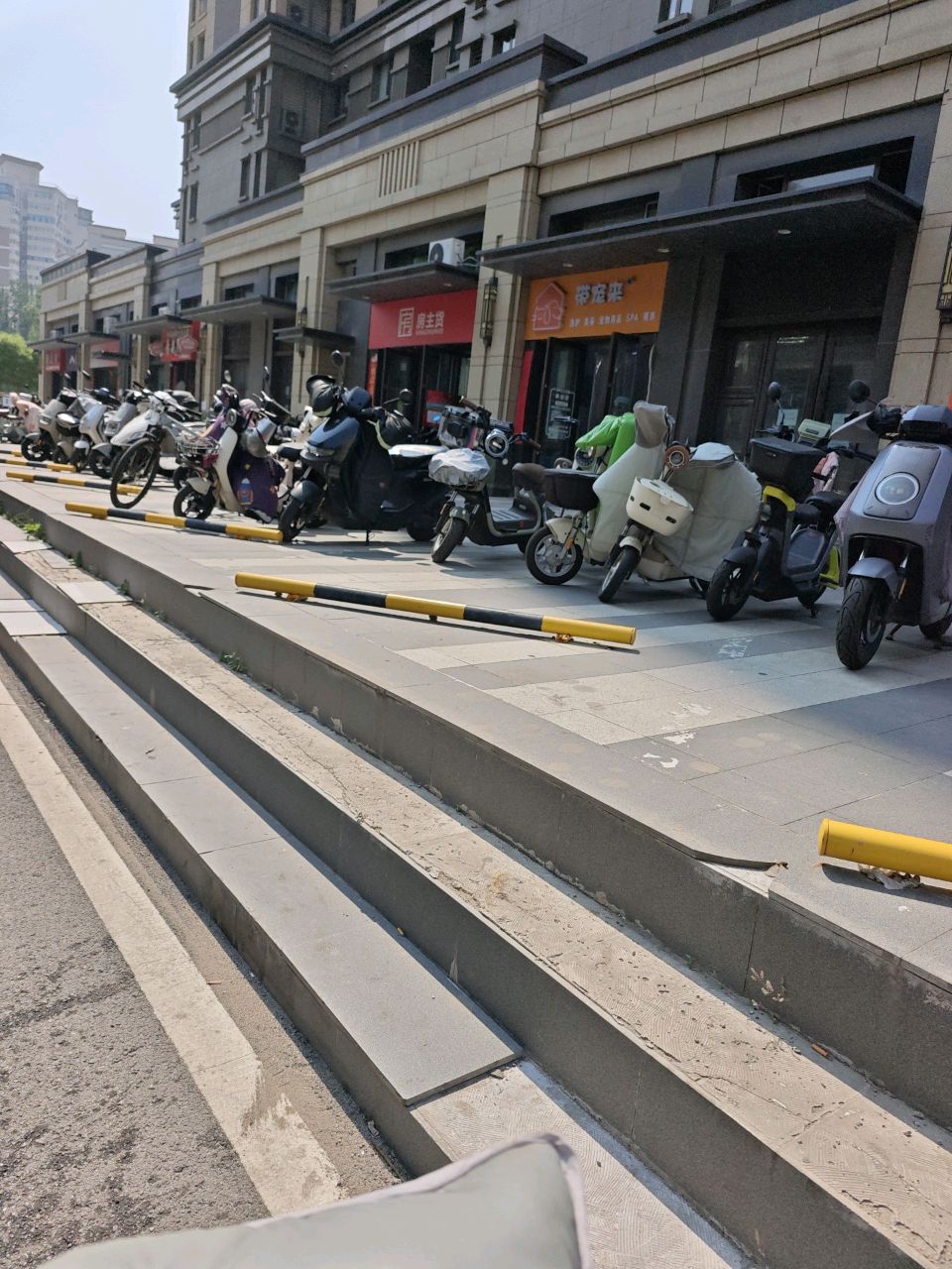 带宠来宠物(吾悦首府店)