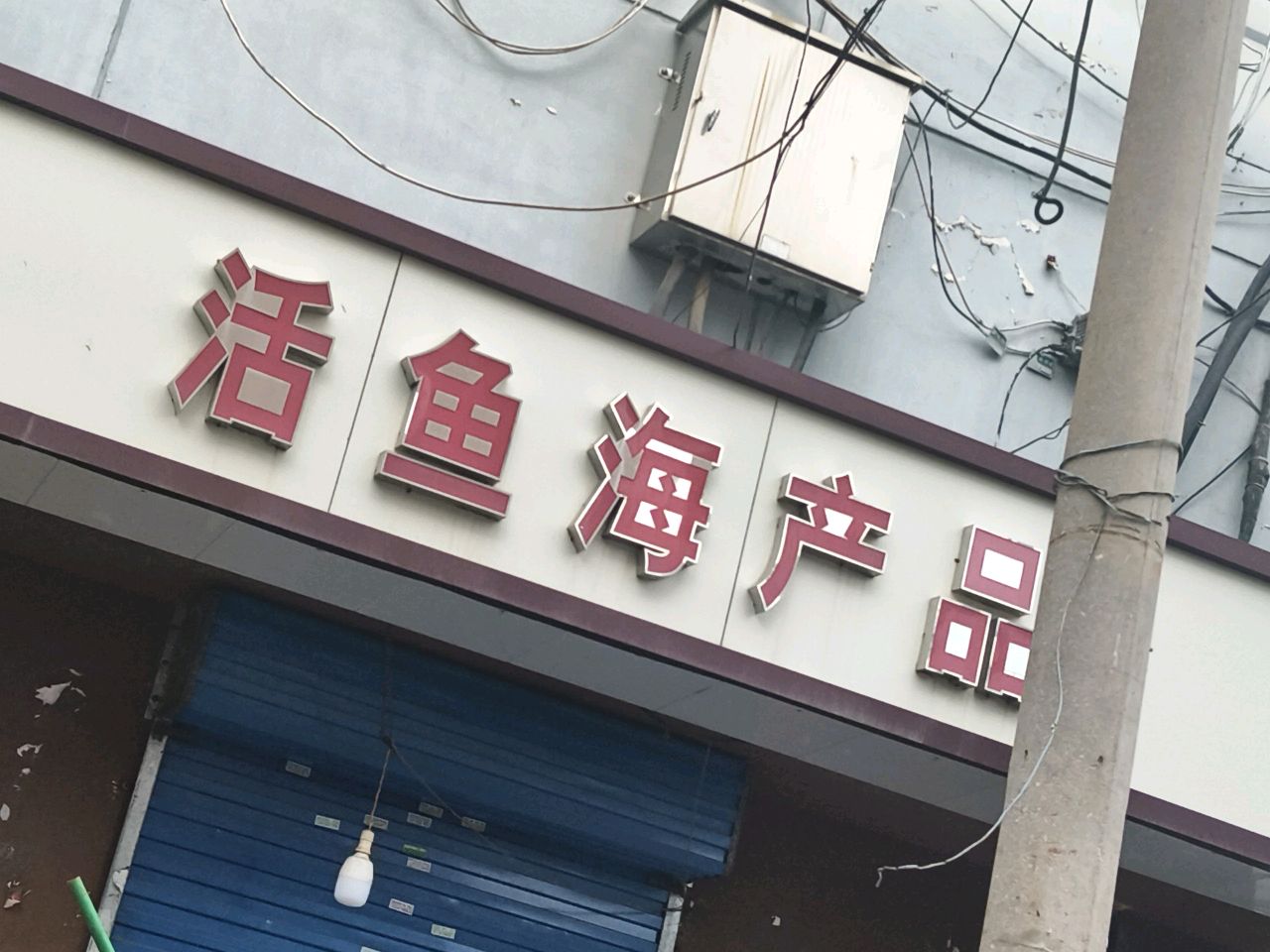 活鱼海产品