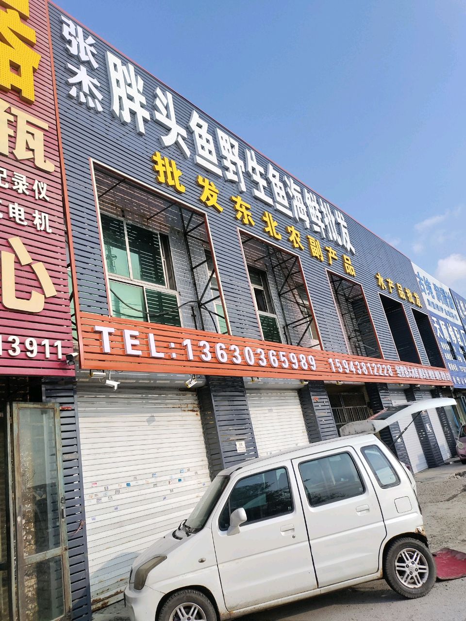 张杰胖头鱼野生鱼海鲜批发