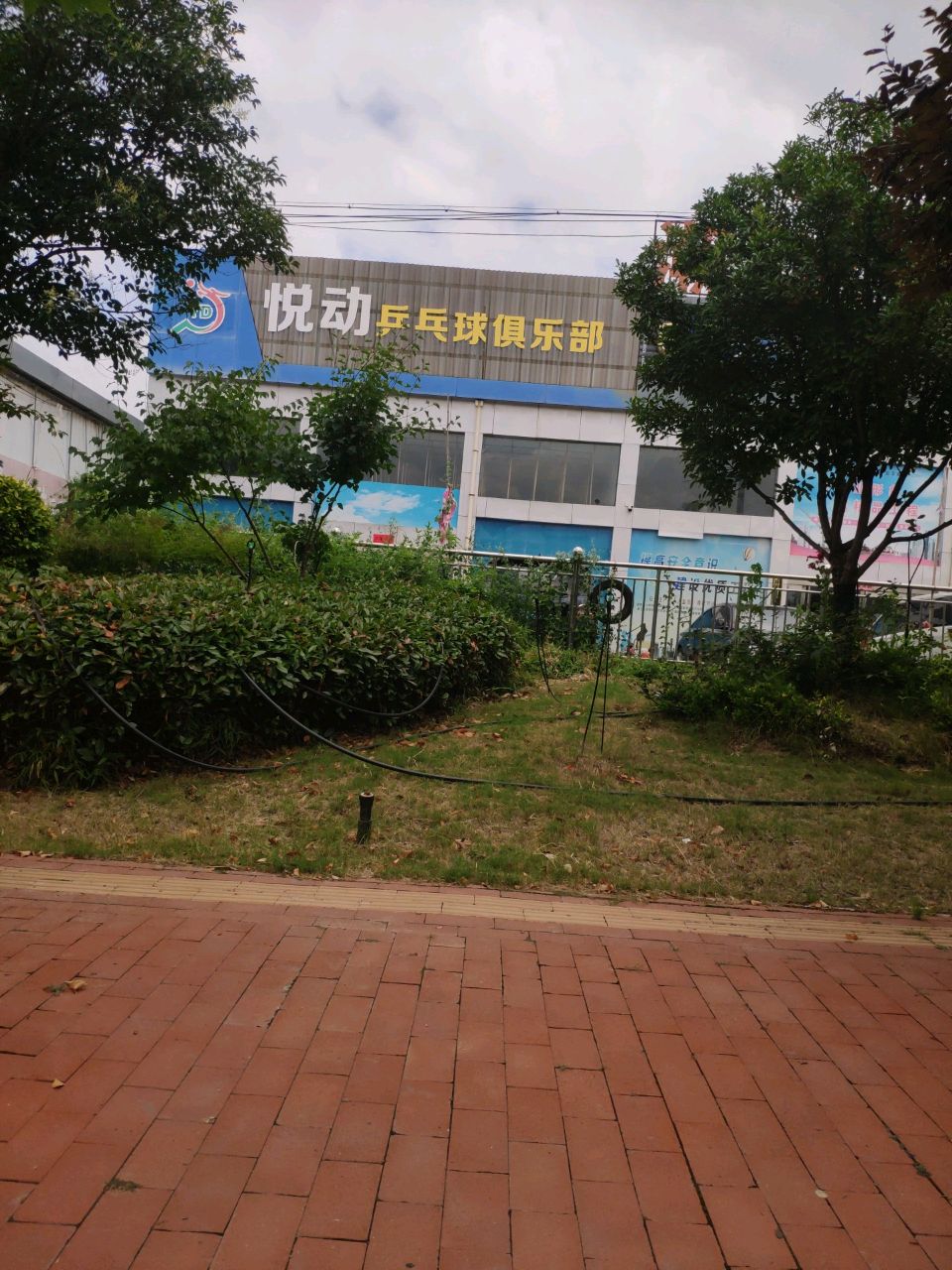 悦动乒乓球俱乐部