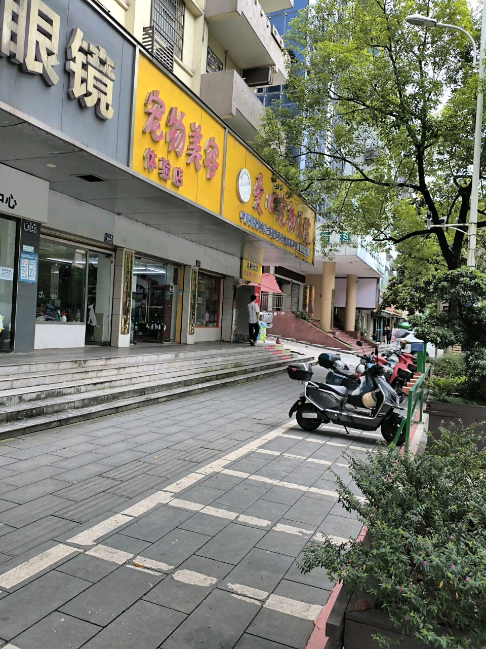 宠物美容体验店