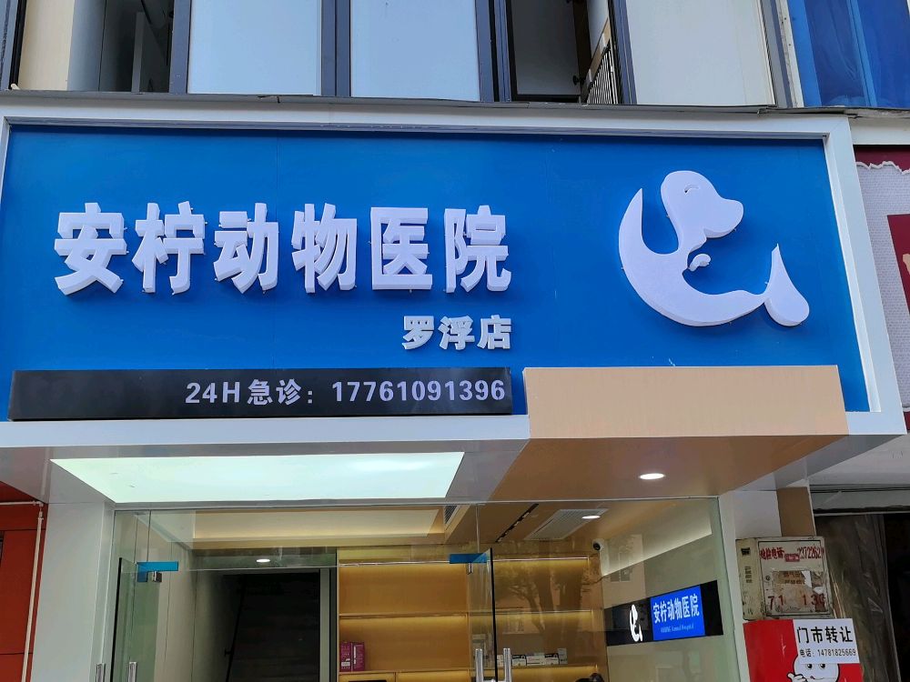 安柠动物医院罗浮店