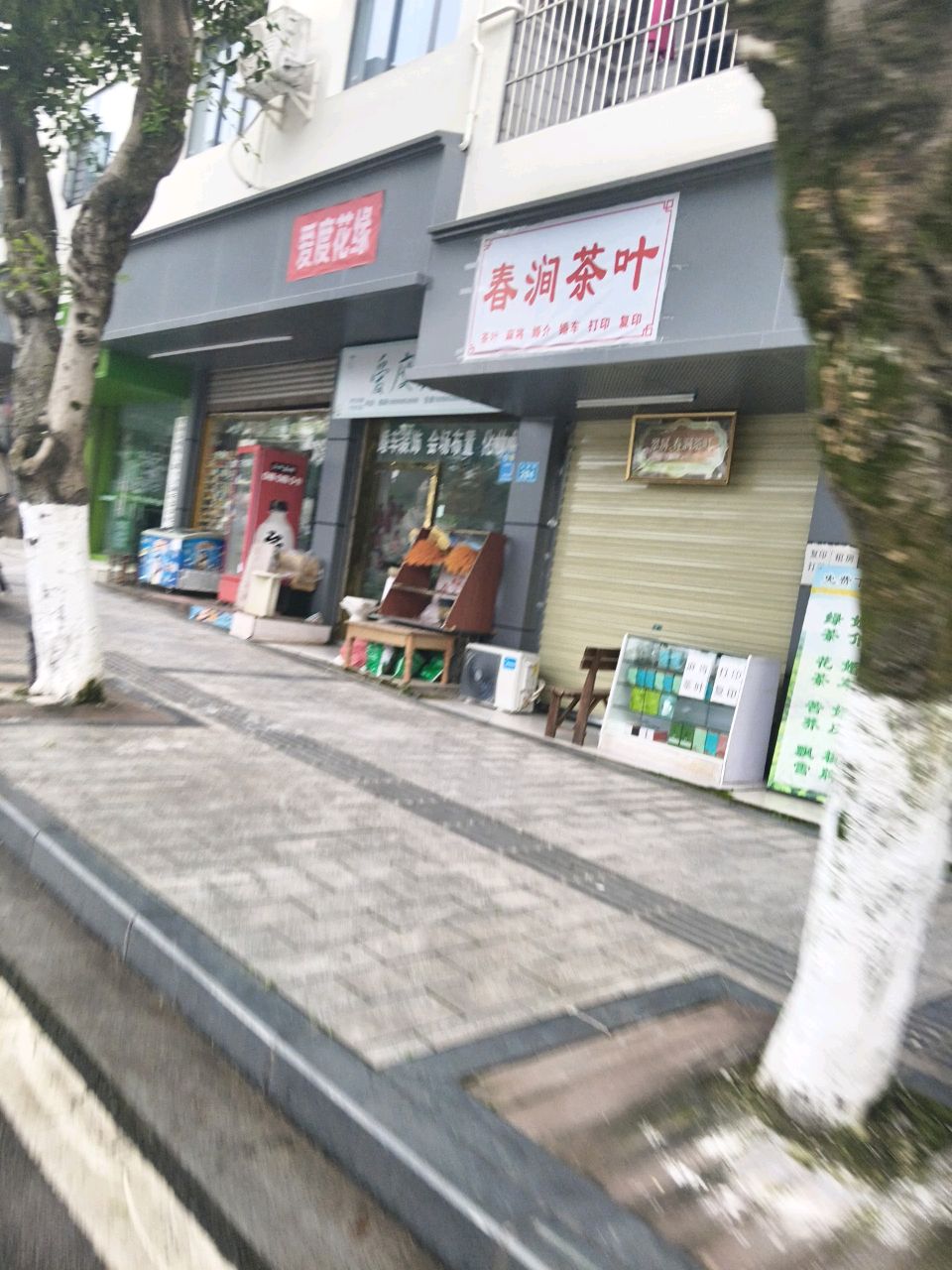 春涧茶叶