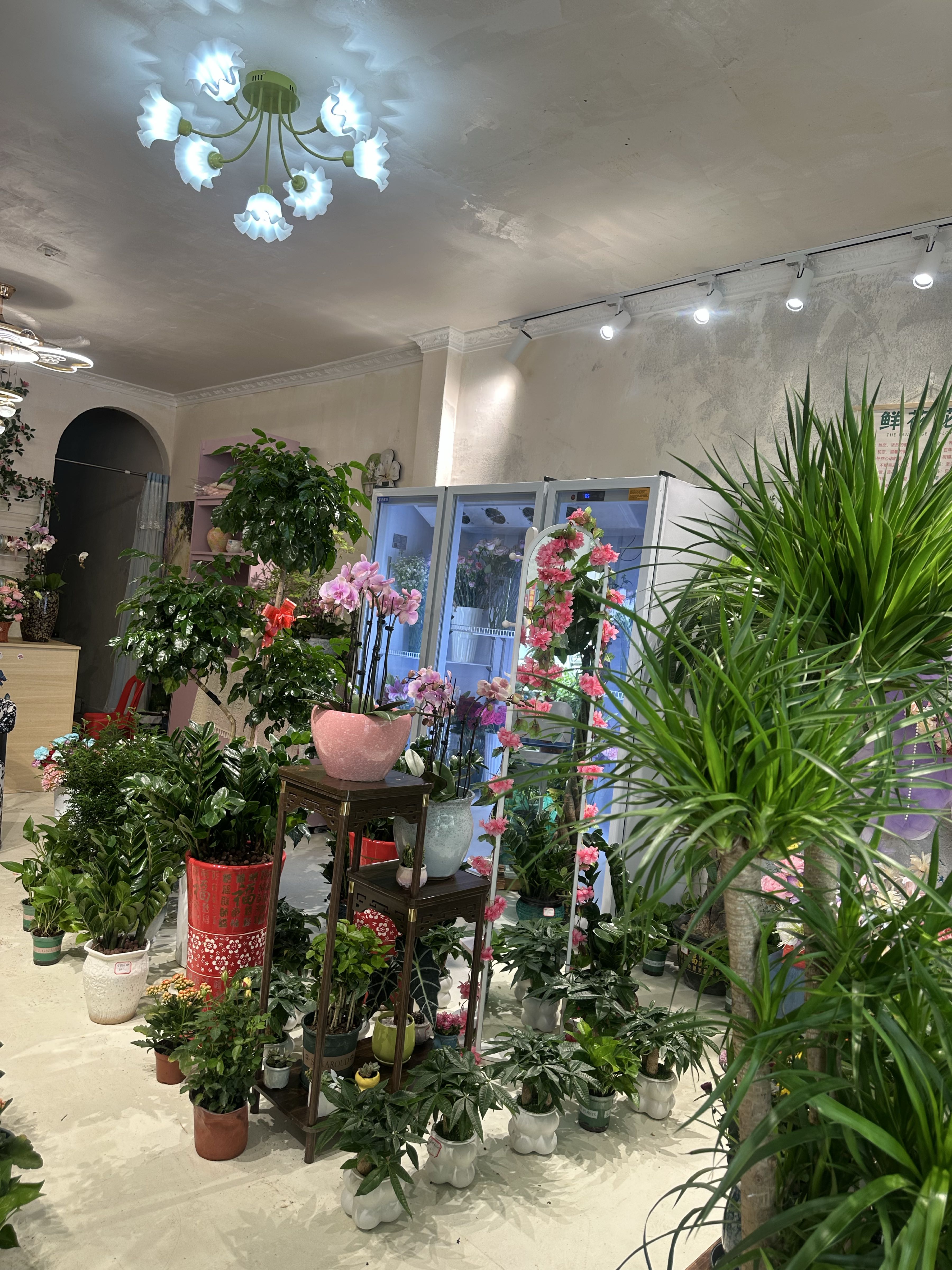 念念不忘花艺美学
