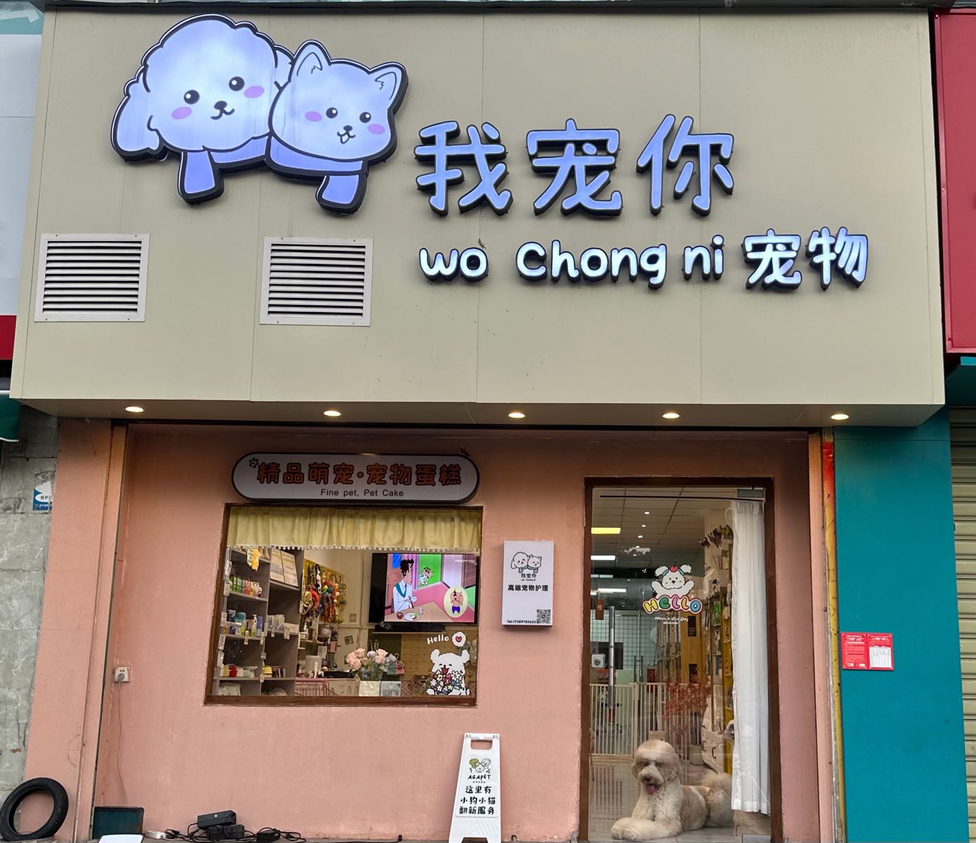 我宠你·宠物