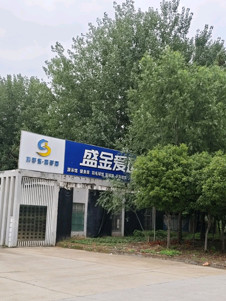 盛金爱运动