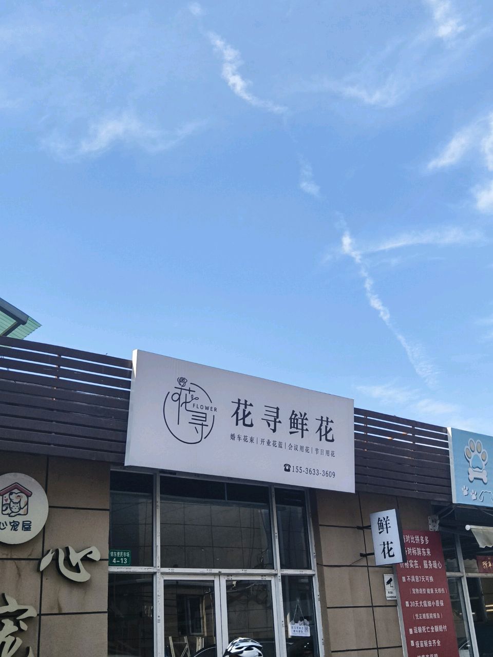 花寻鲜花