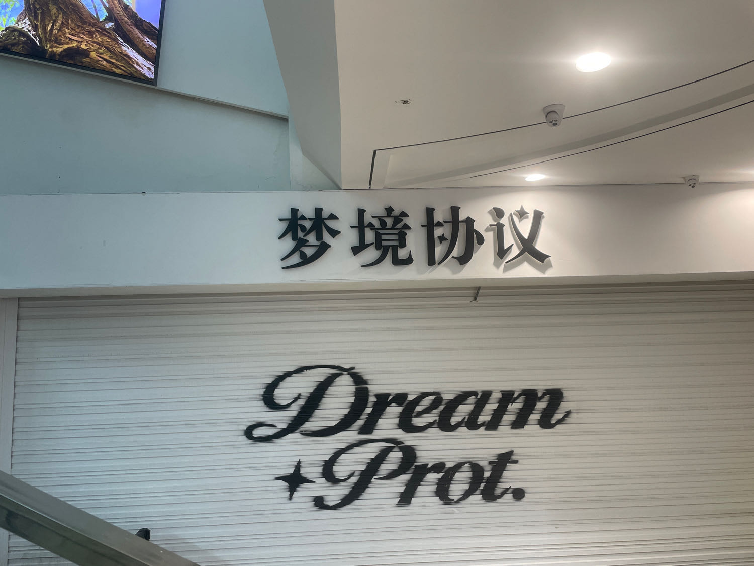 DreamProt(梦境协议)