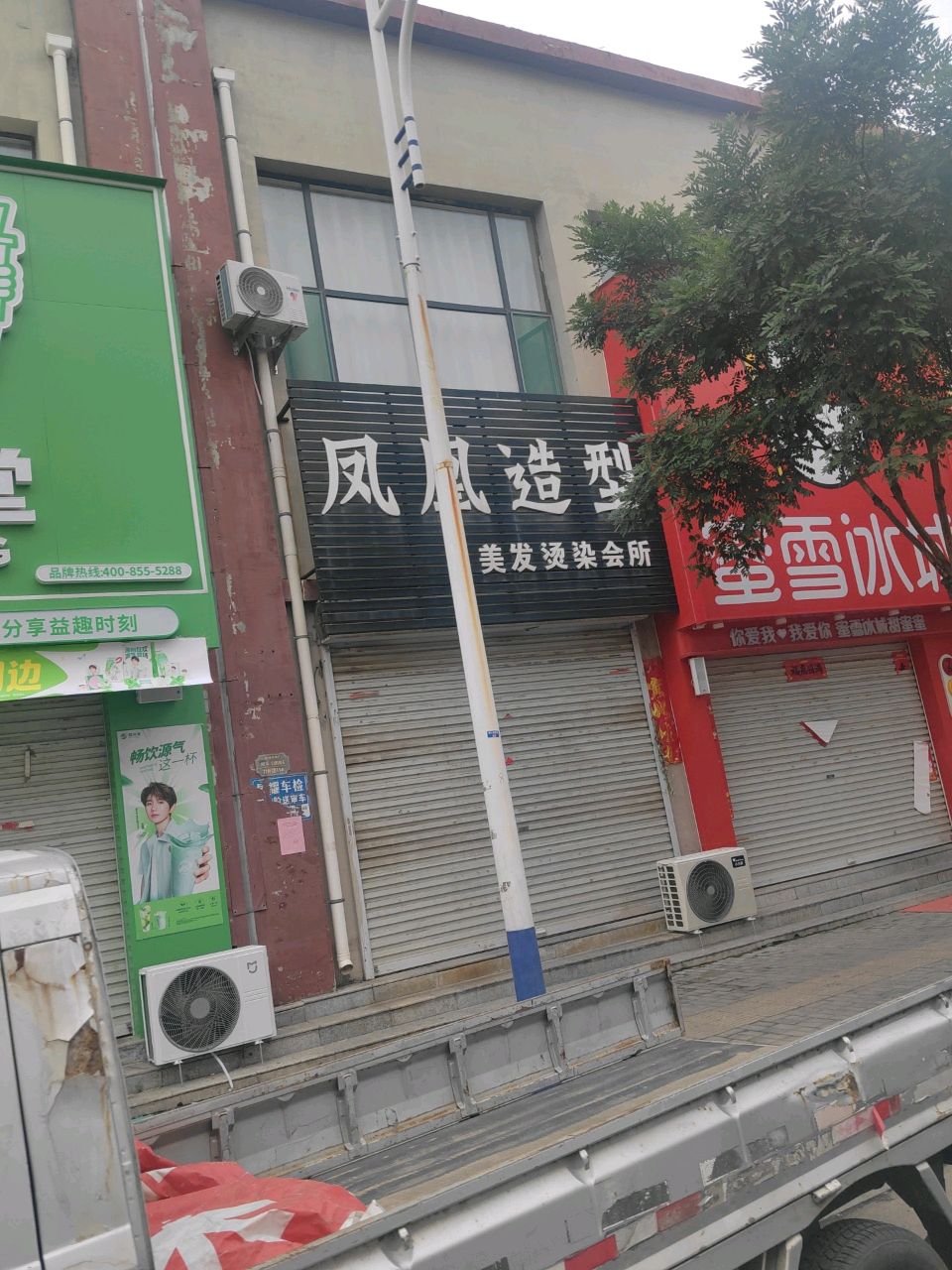 凤凰造型
