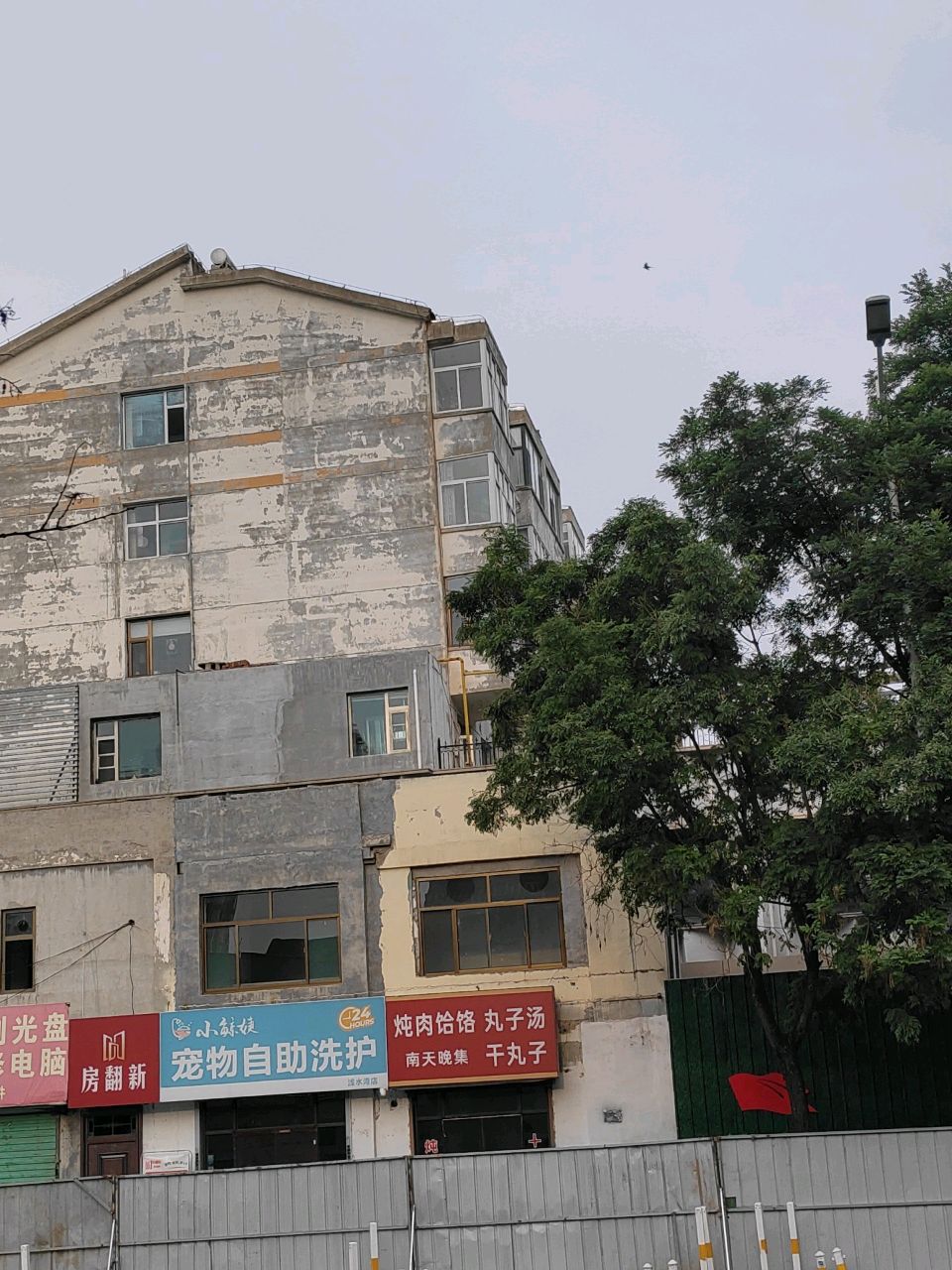宠物自助洗护