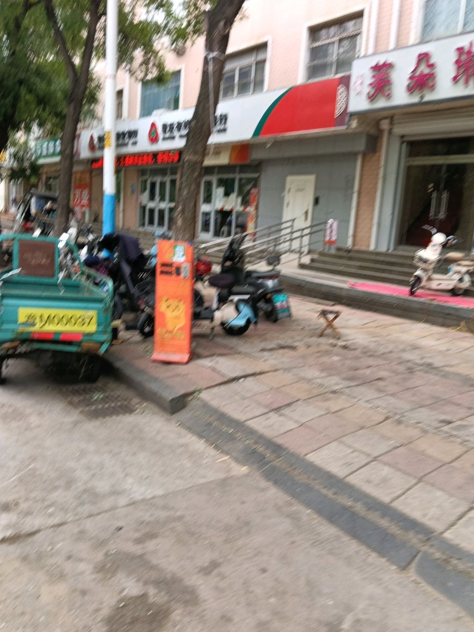 芙朵琳
