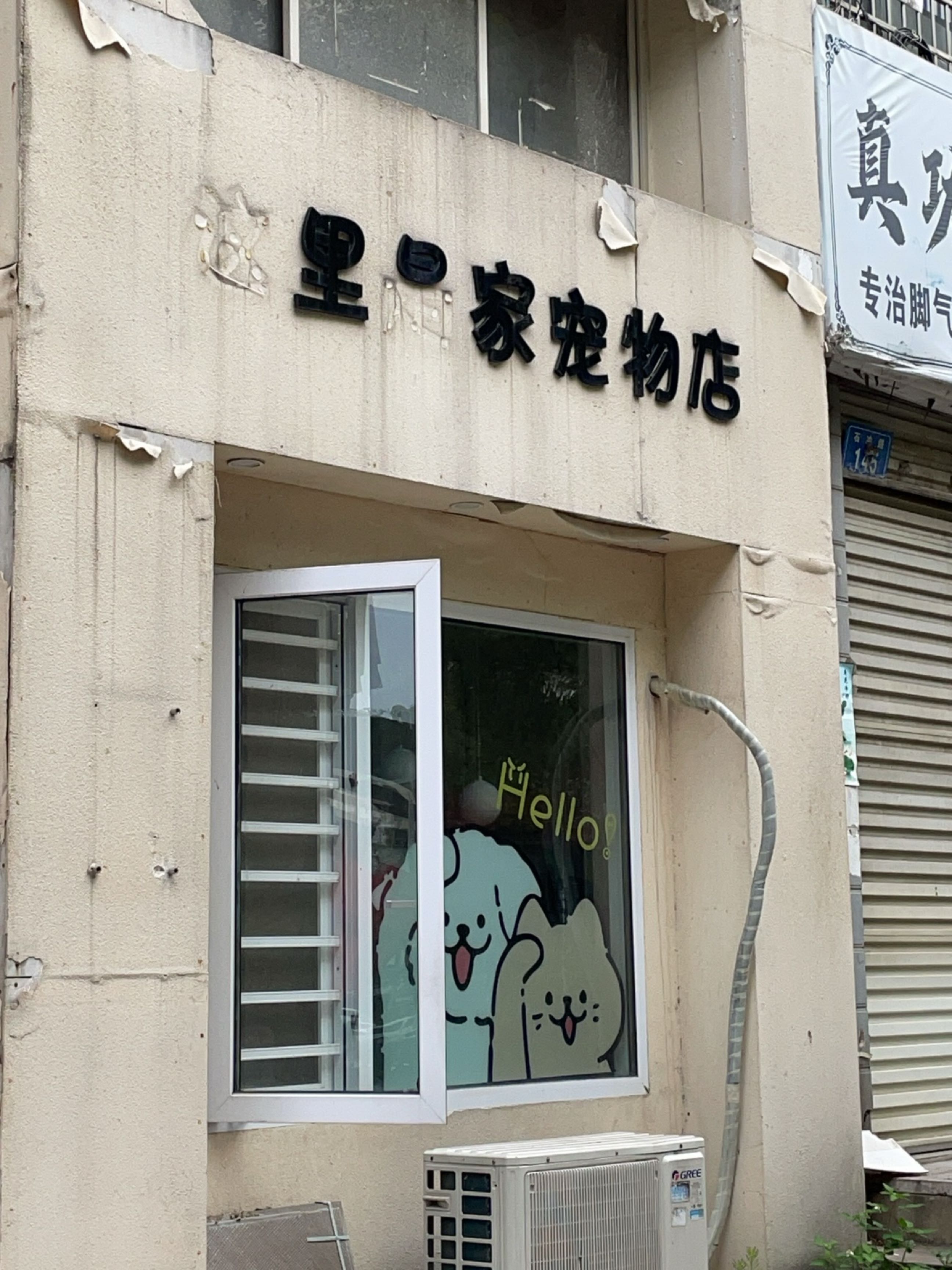 这里是家宠物店(石冲路店)