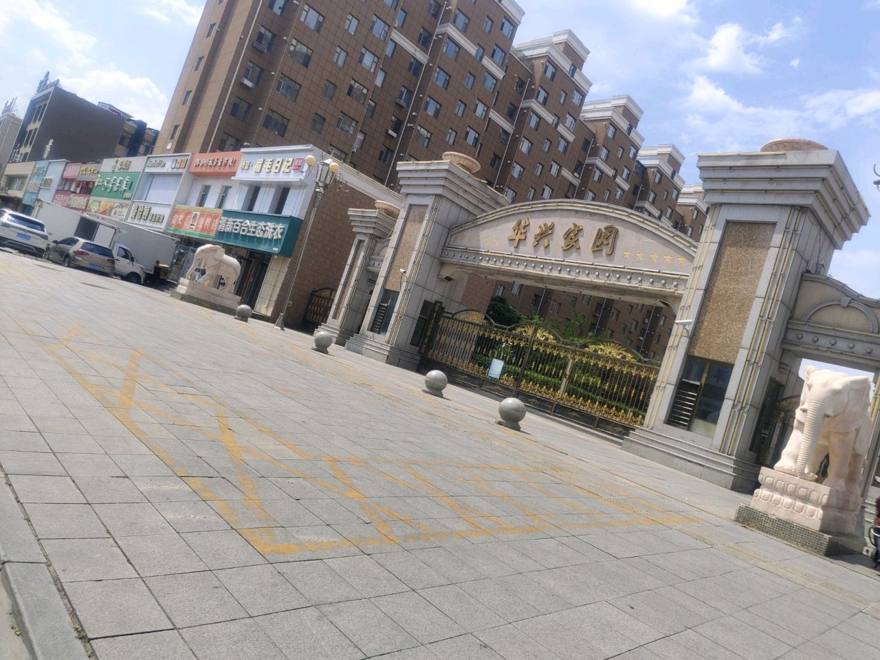 婷留眉毛日记