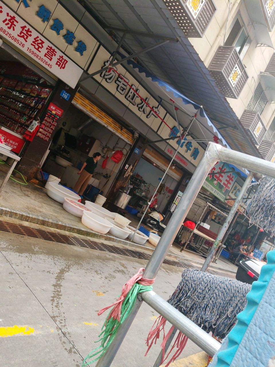 杨毛肚水产