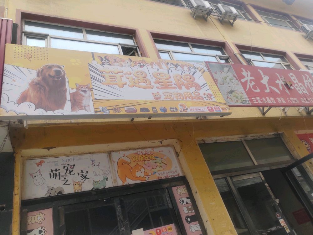 茸遇星隅宠物用品