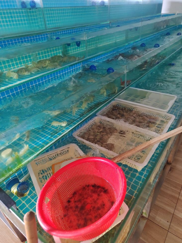 厚水湾海鲜批发
