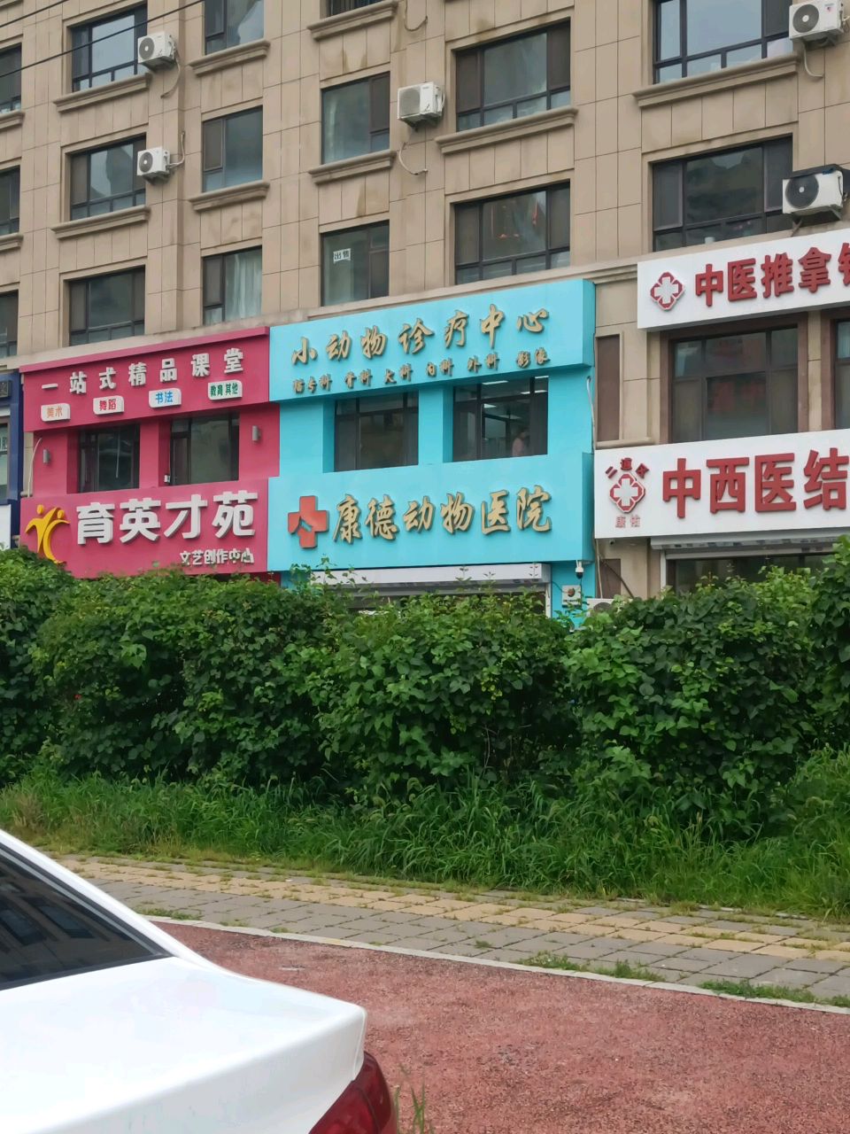 康德动物医院·猫专科·骨外科