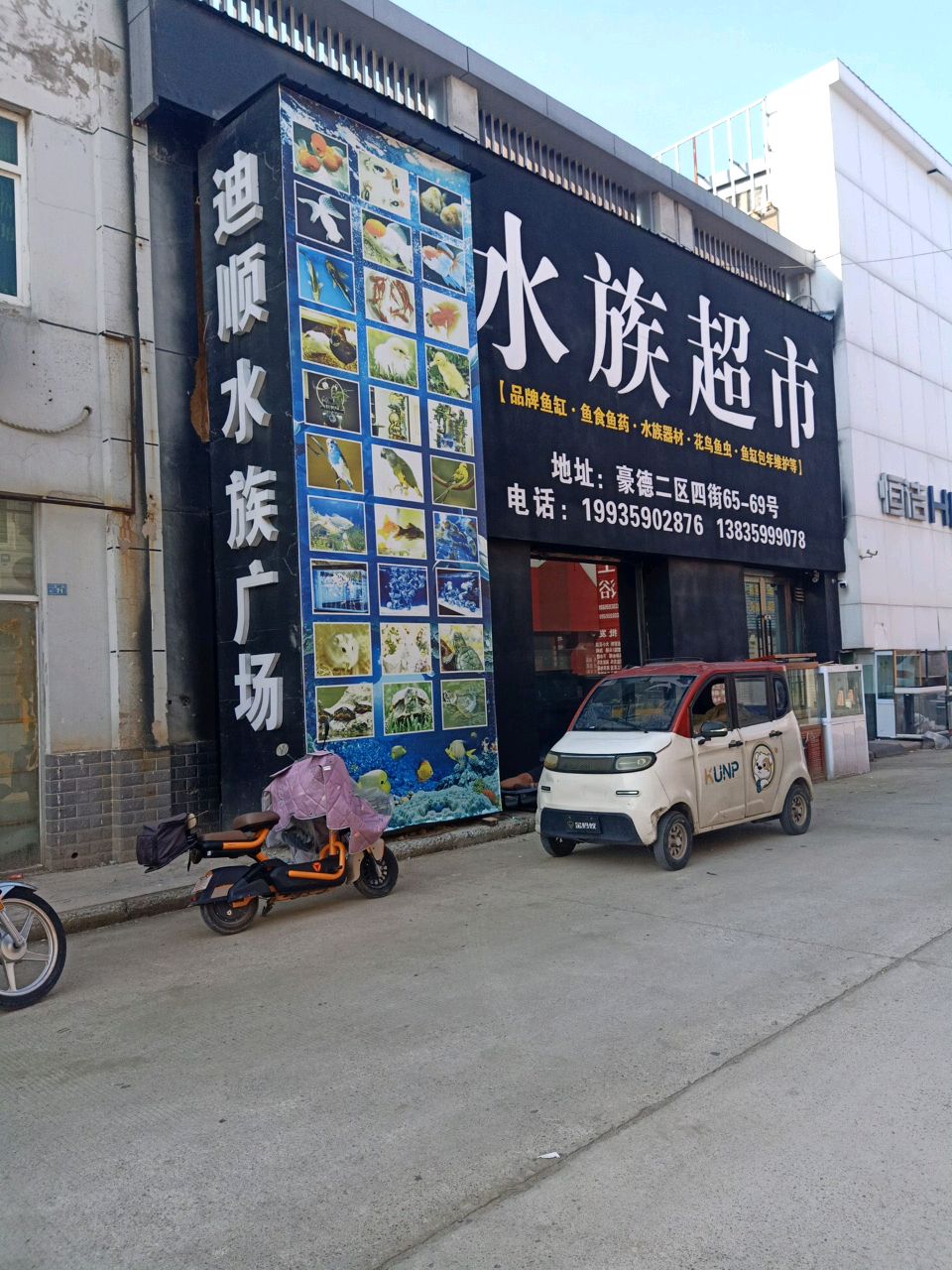 迪顺水族超市