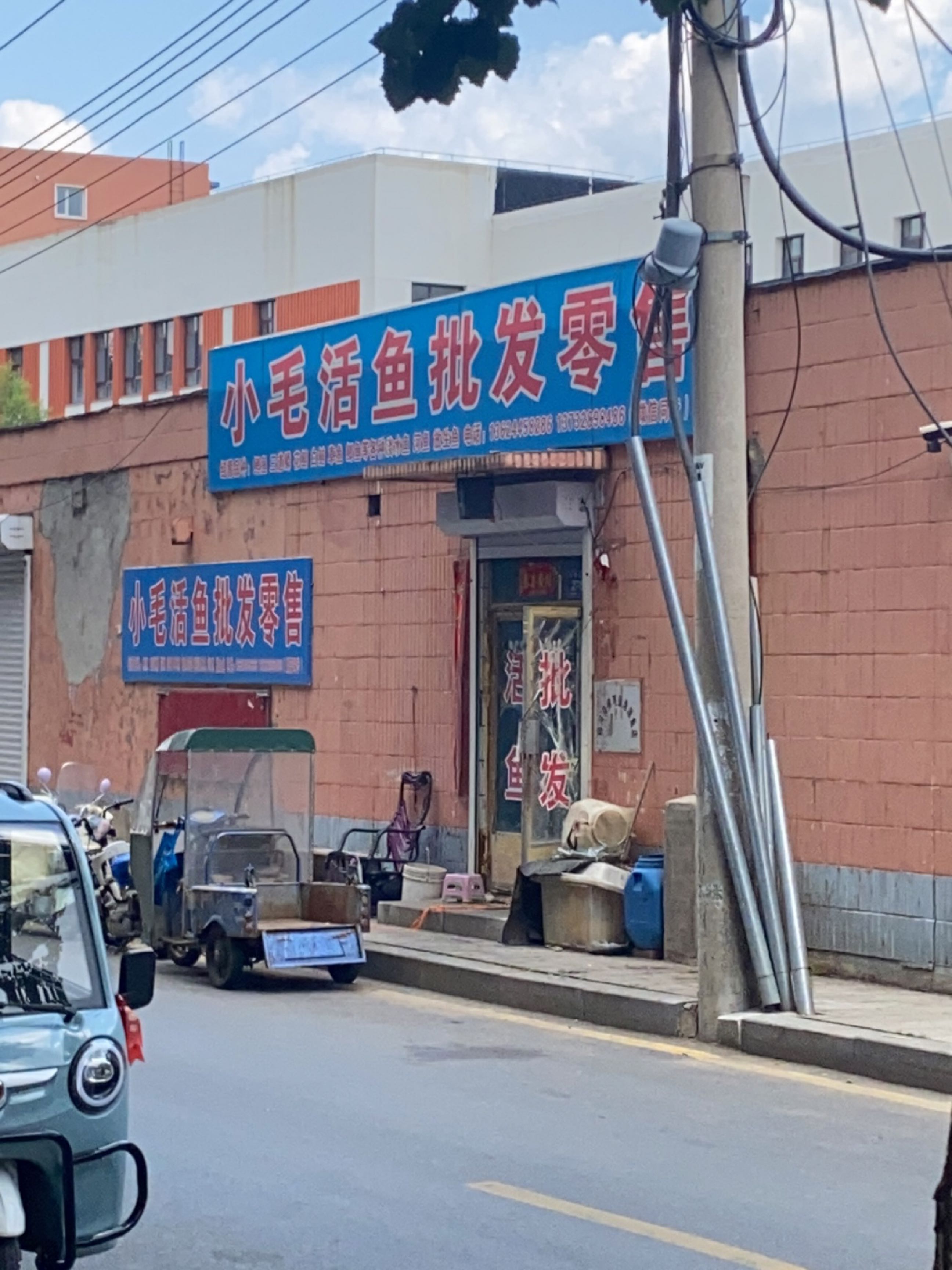小毛活鱼批发零售