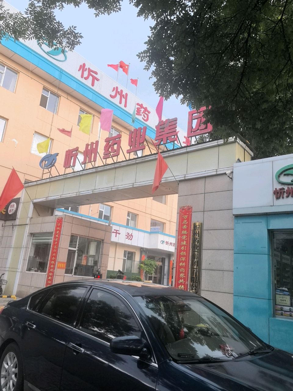 忻州药业(集团)忻州市有限公司