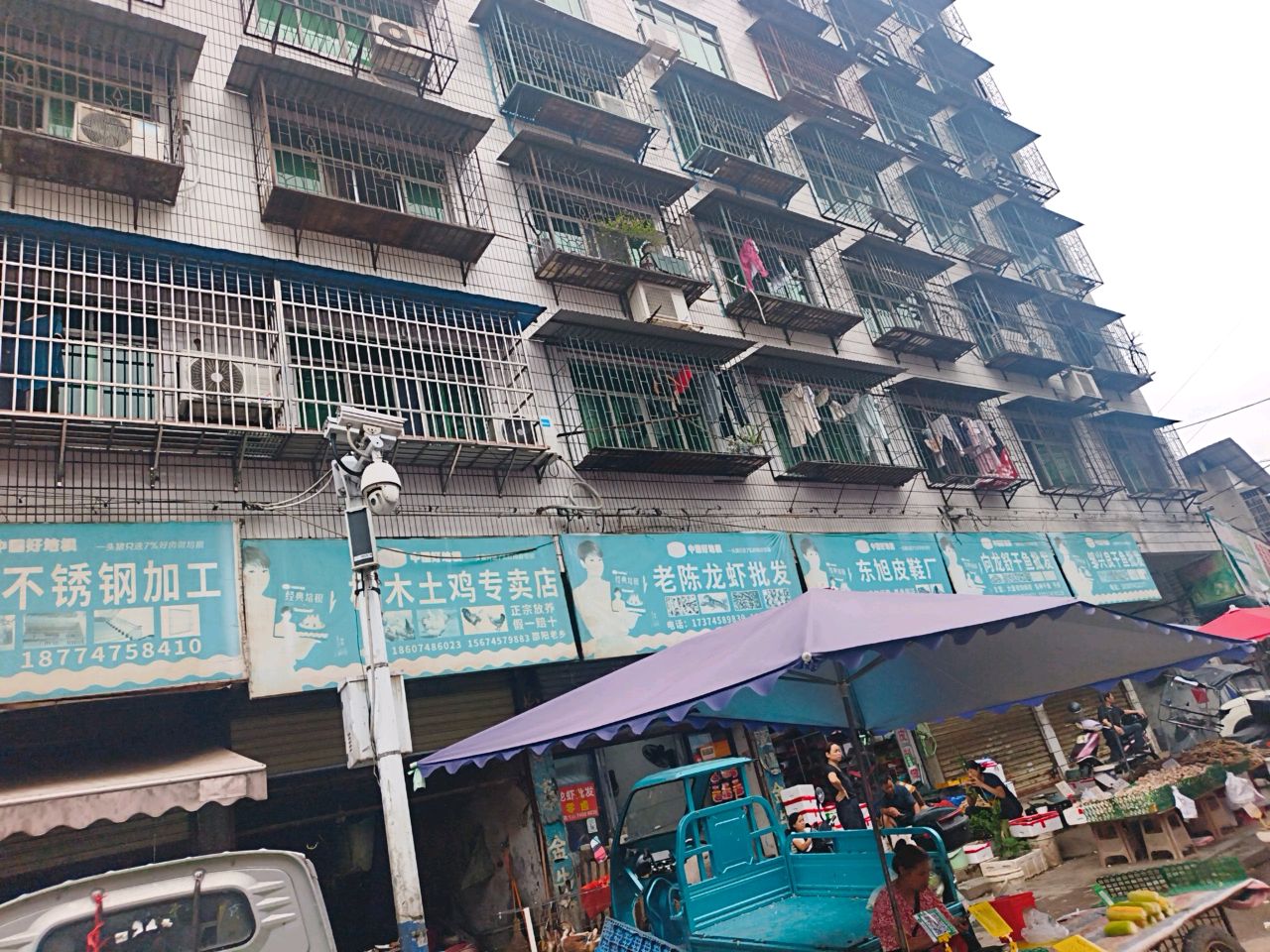 老陈龙虾批发