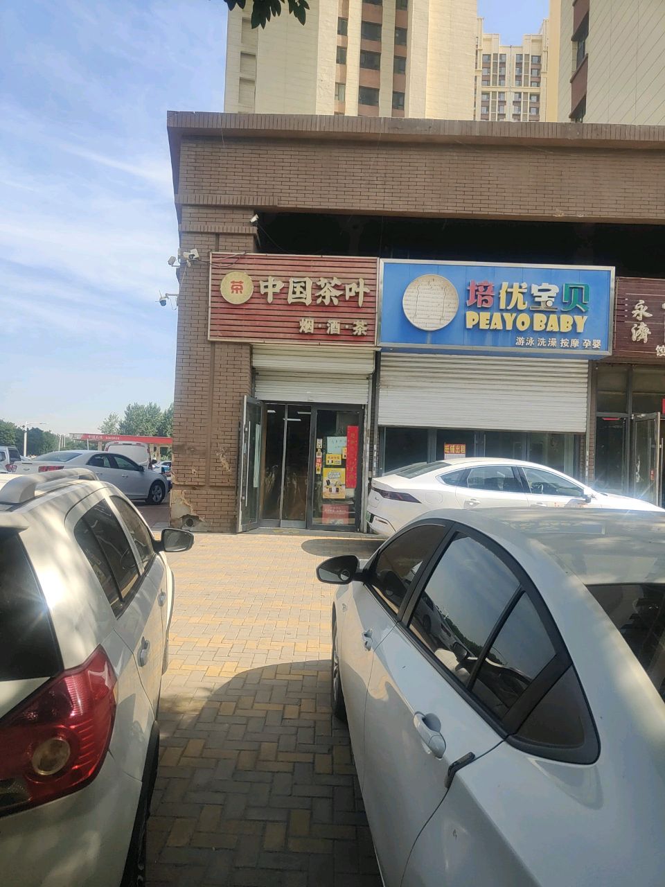 中国茶叶(新晋优品店)