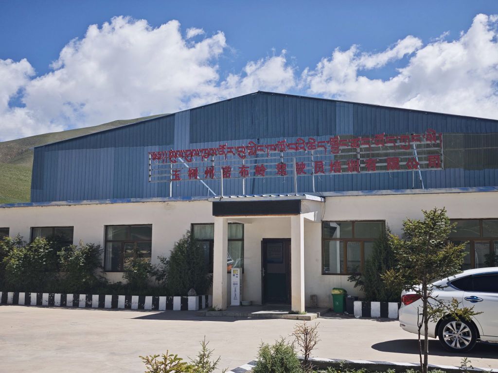 玉树州诺布岭驾驶员培训有限公司