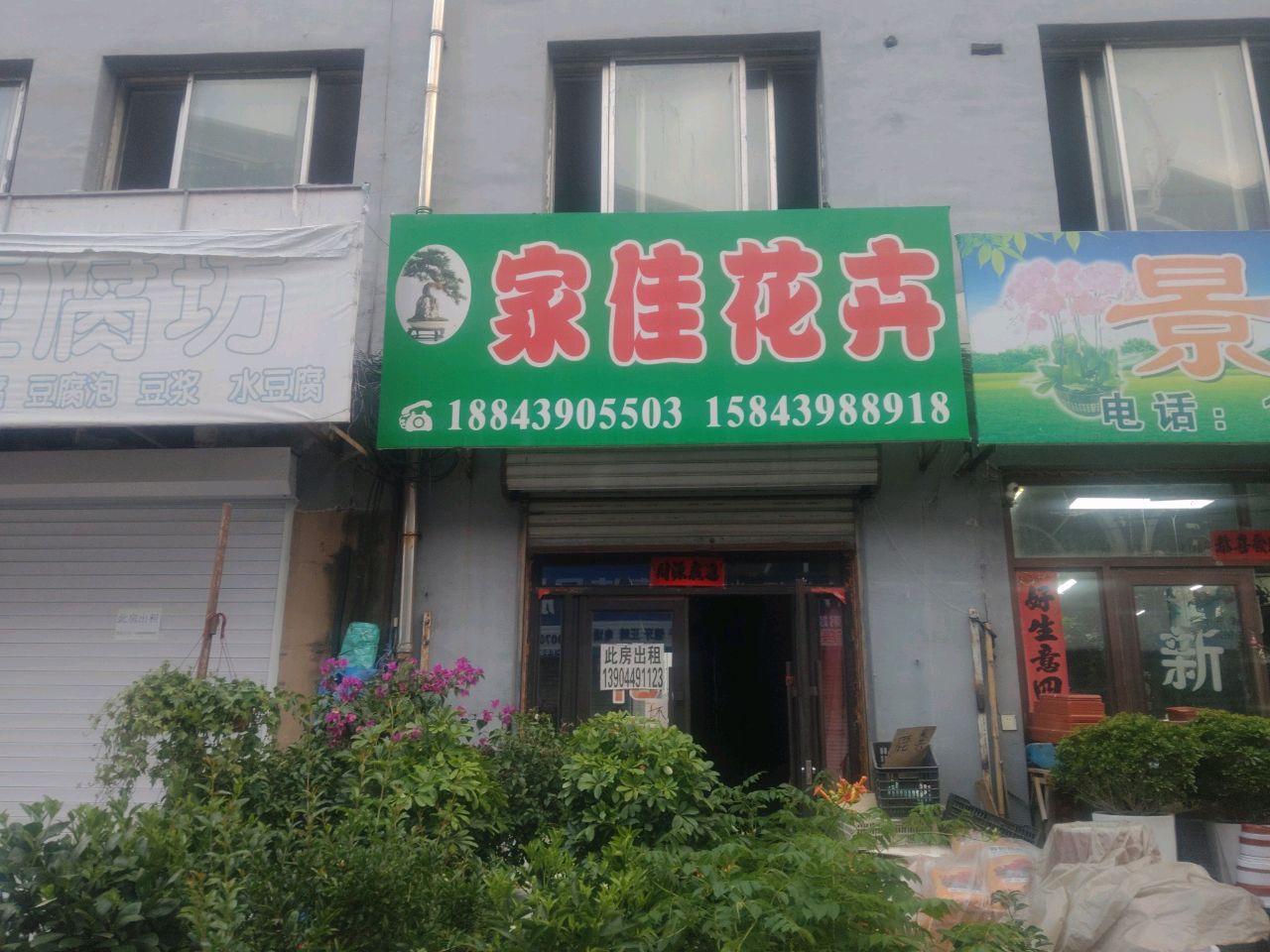 景添花卉