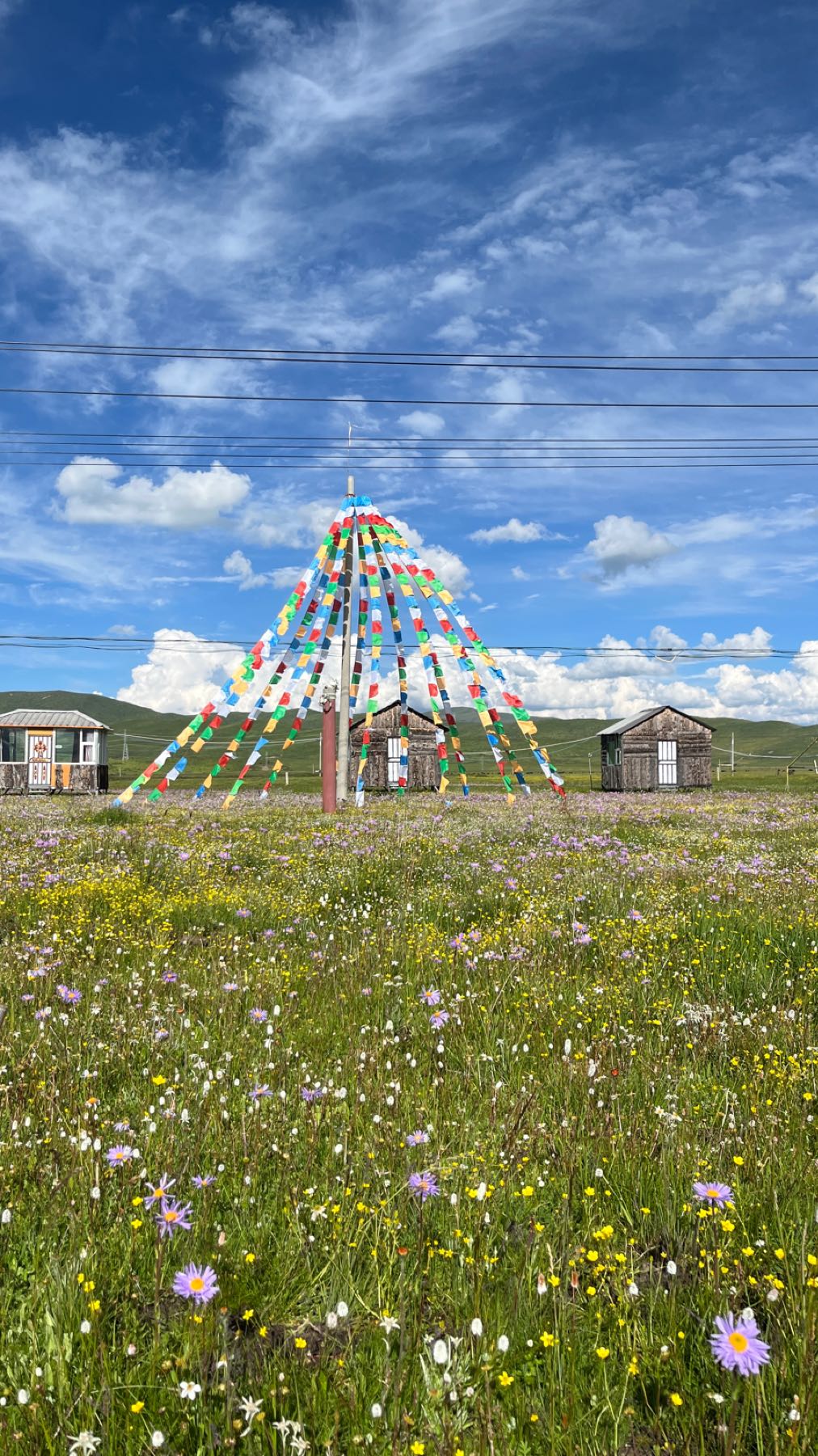 藏家连花园
