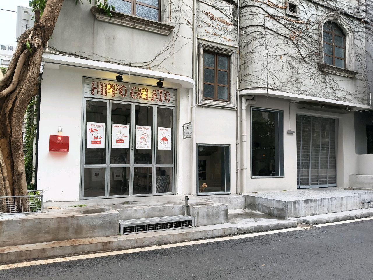 HIPPO GELATO(龙兴路店)