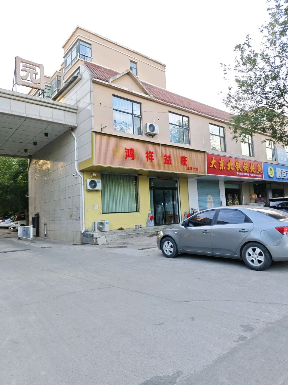 大东北铁锅炖鱼