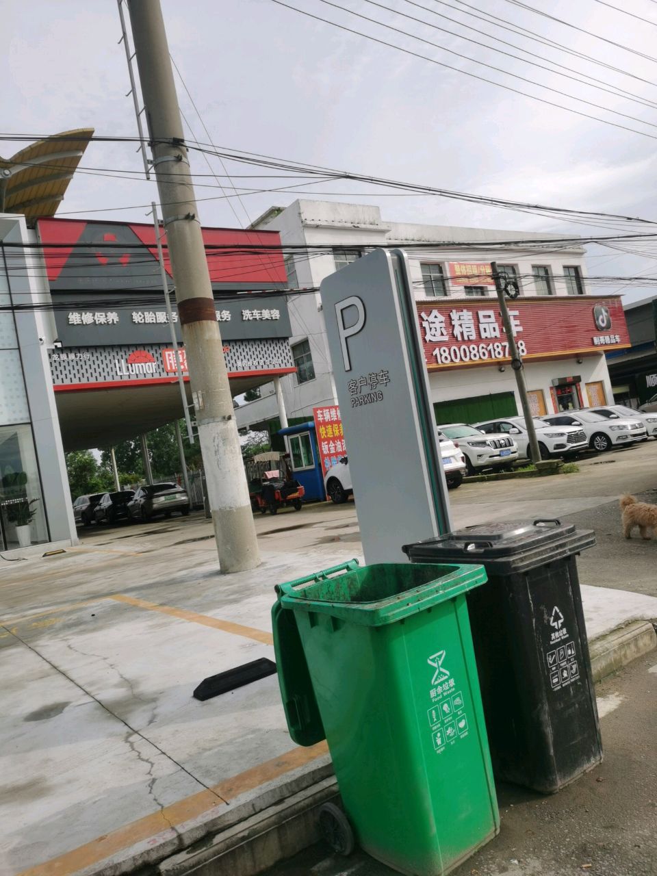 顺途精品车
