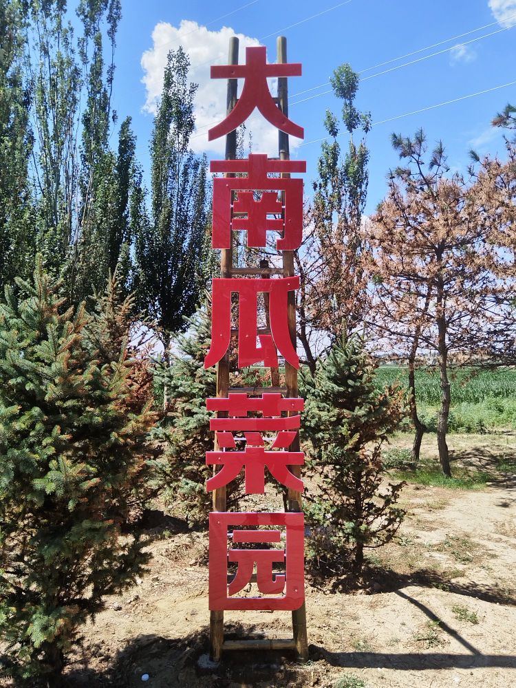 大南瓜菜园