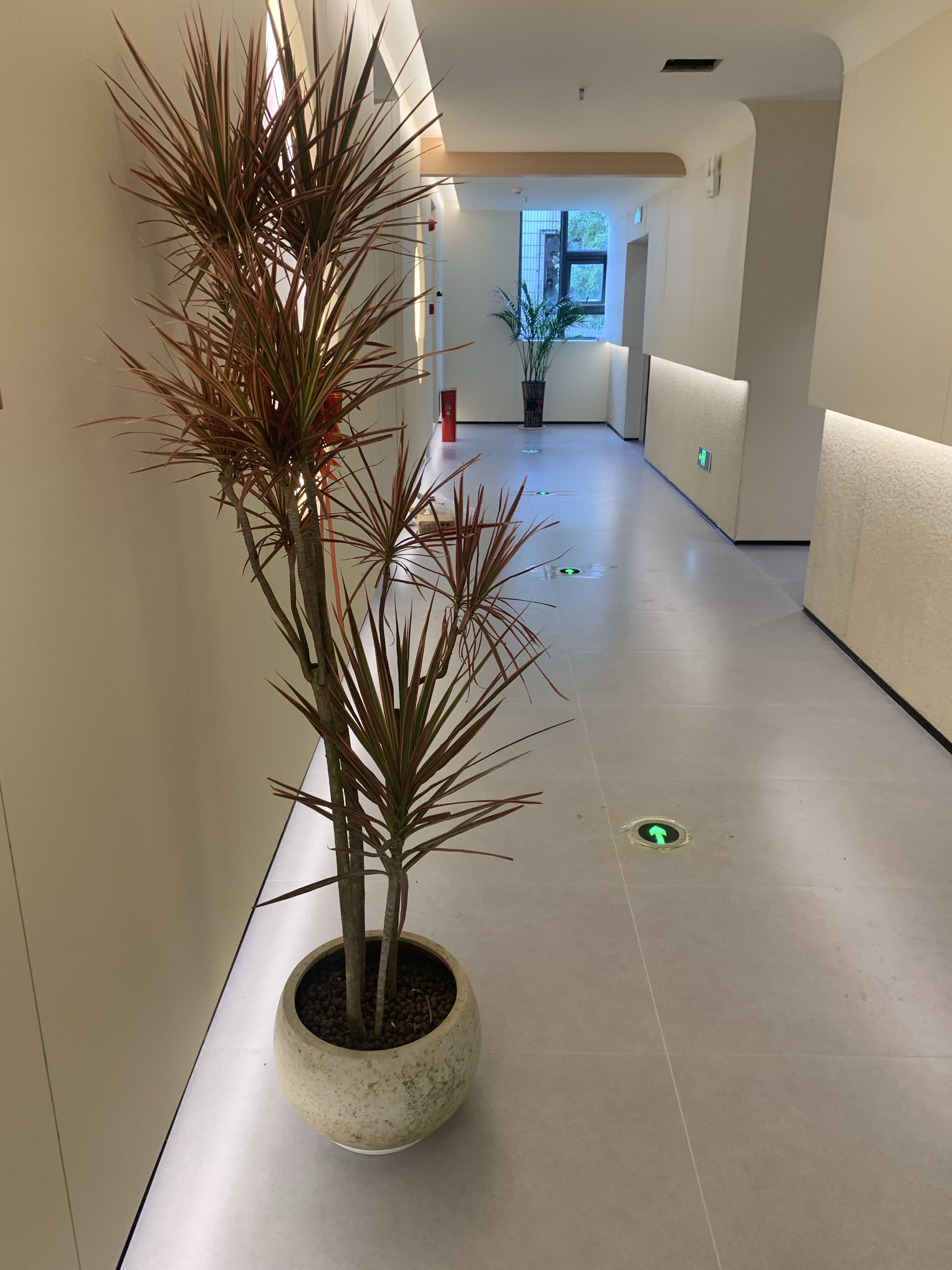 扬州汤悦