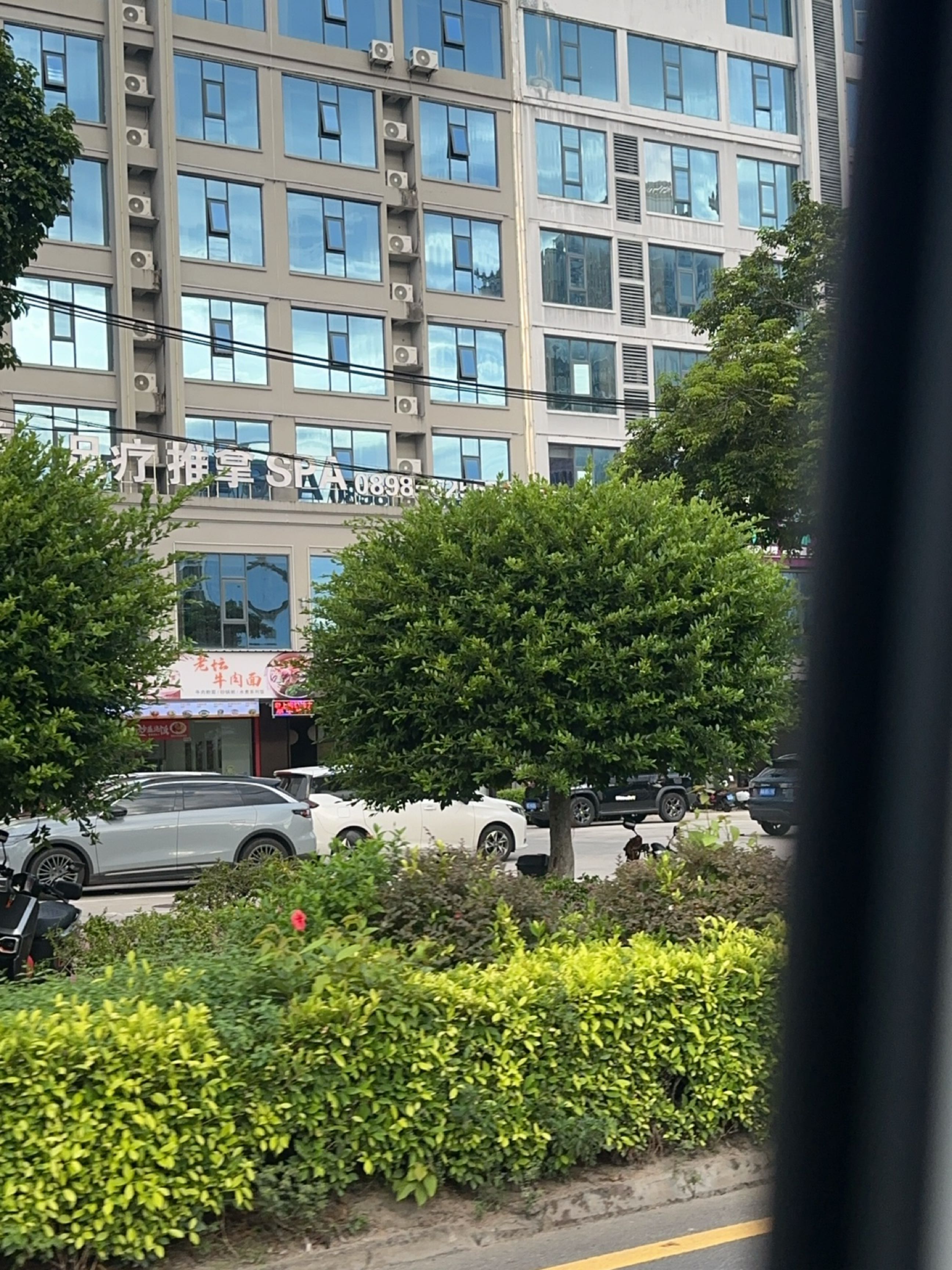 老上海混沌