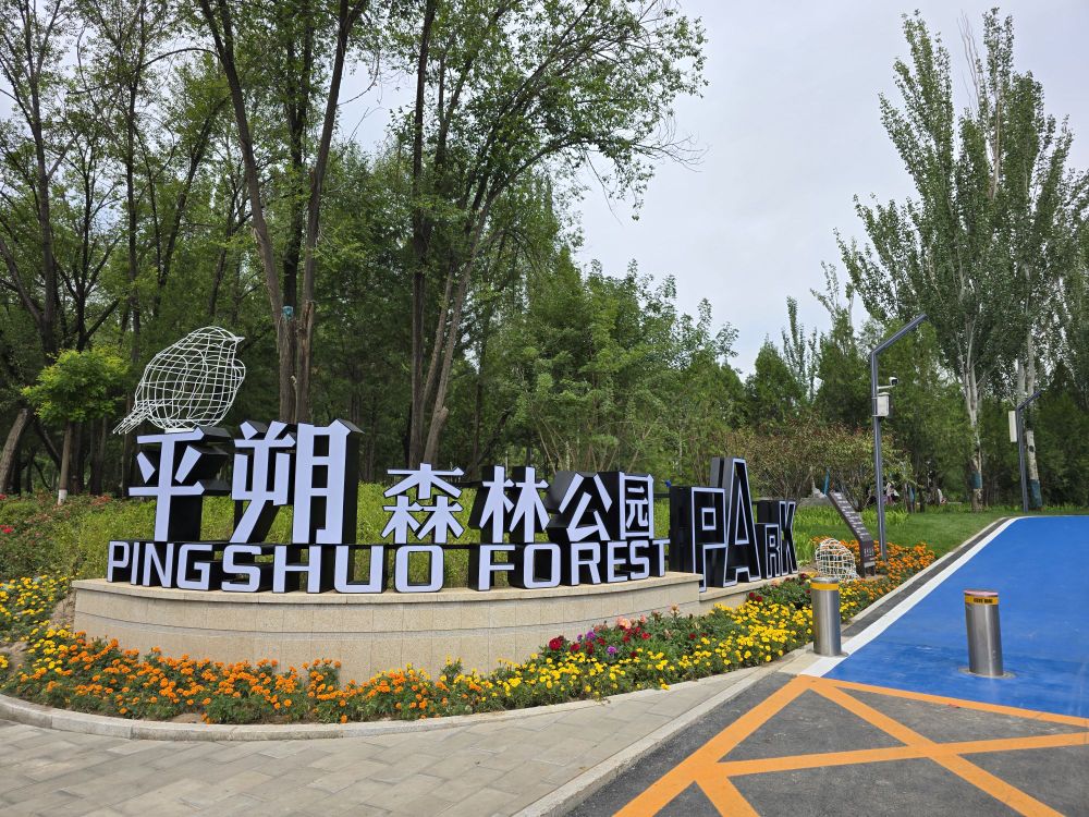 平朔森林公园