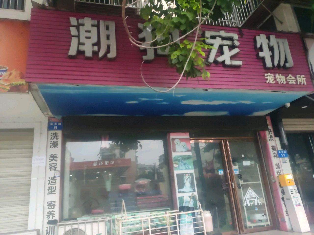 潮狗宠物会所(福新家苑店)