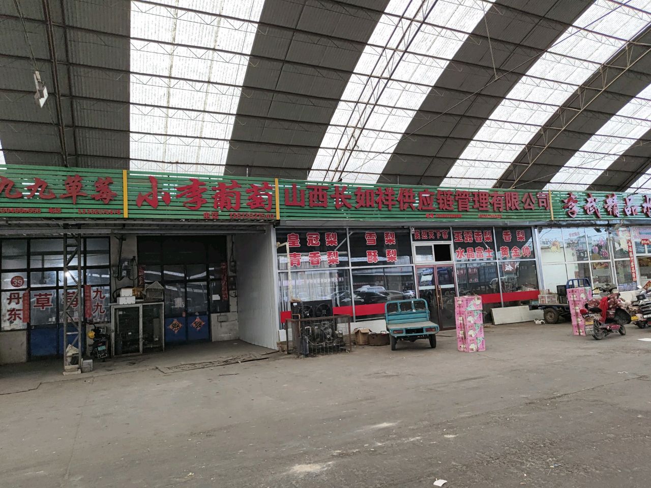 小李葡萄