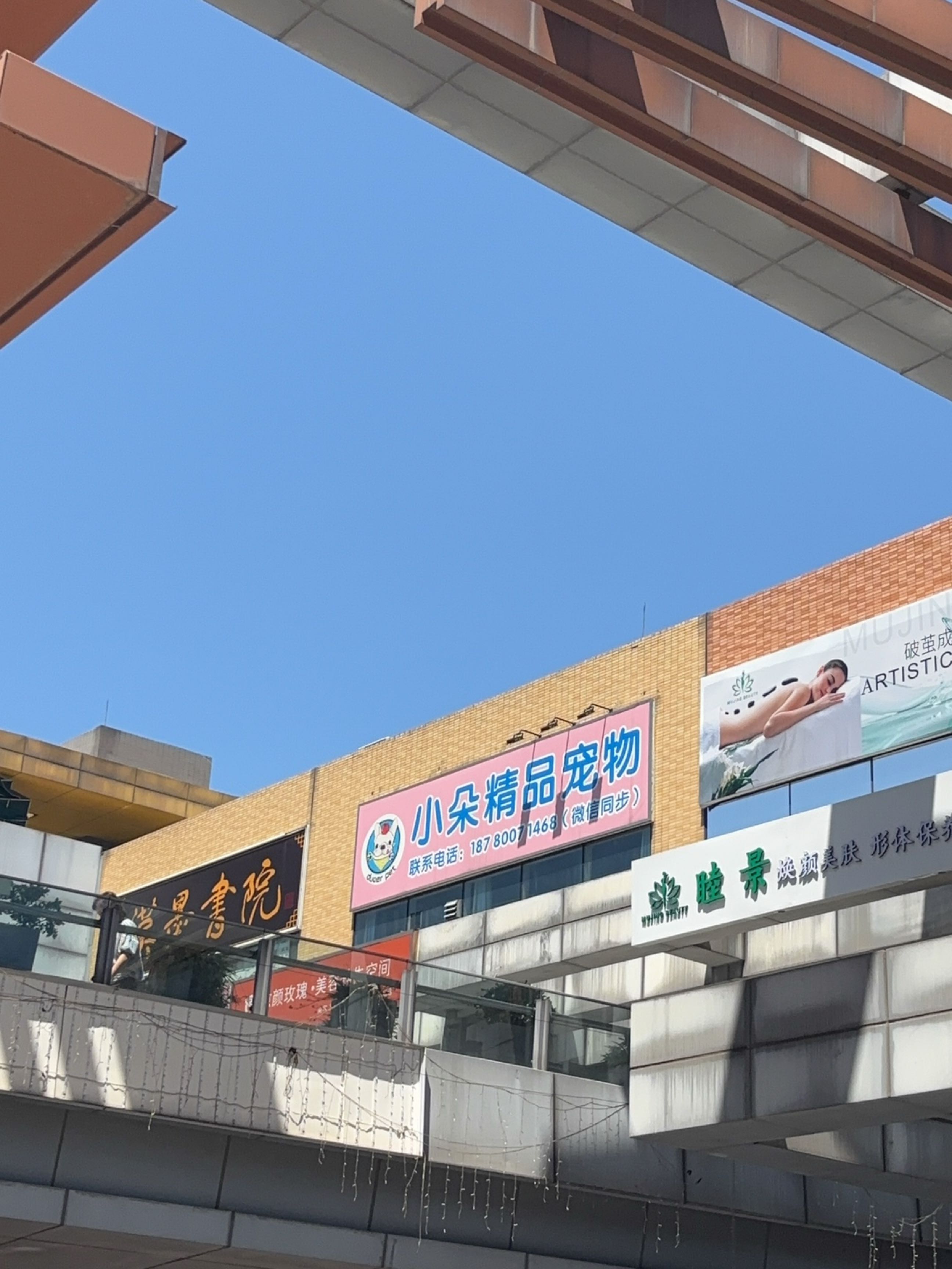 小朵精品宠物(新街里店)