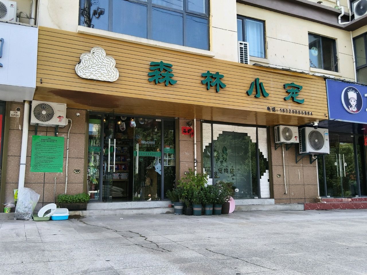 森林小宠