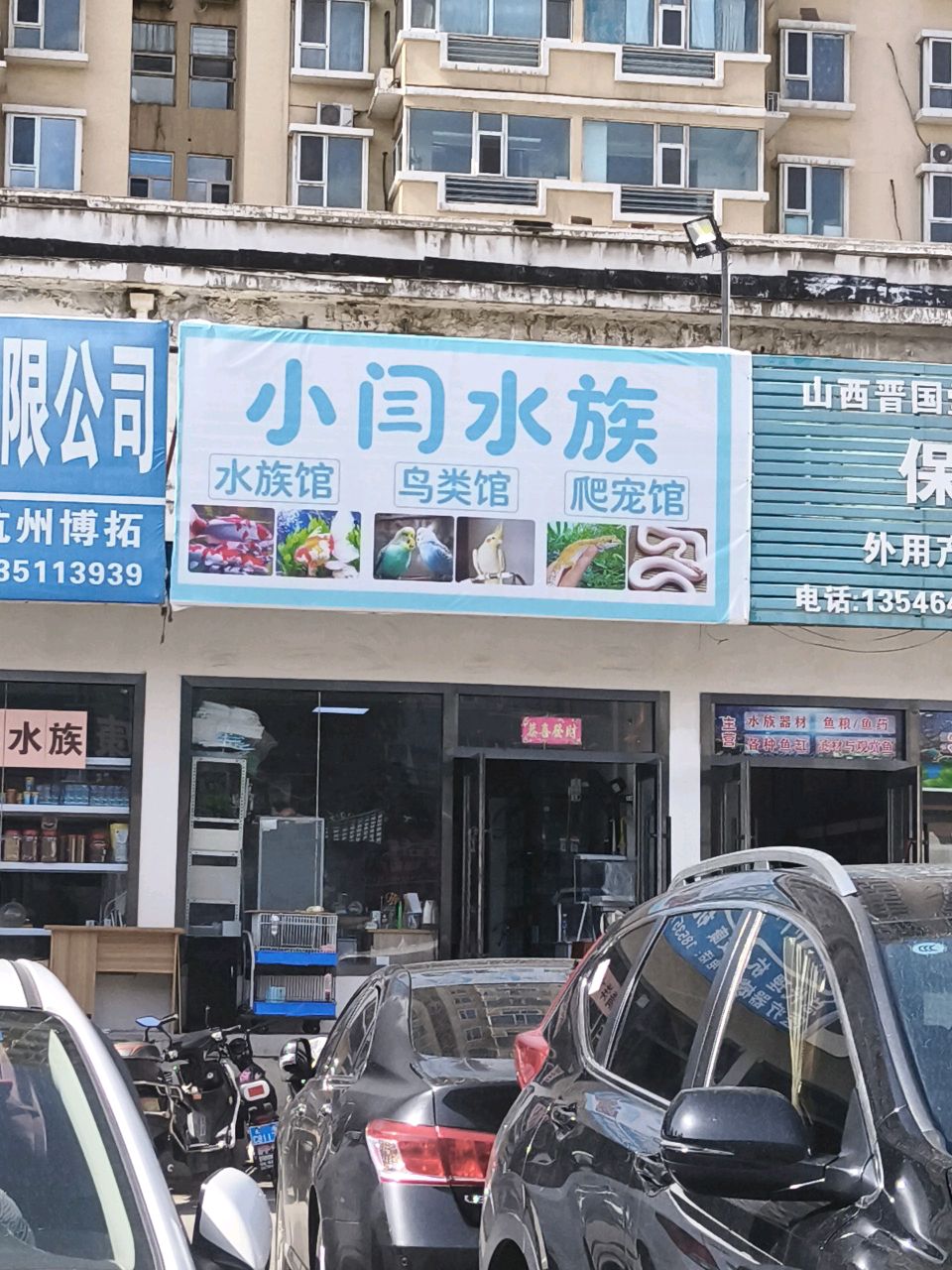 小闫水族