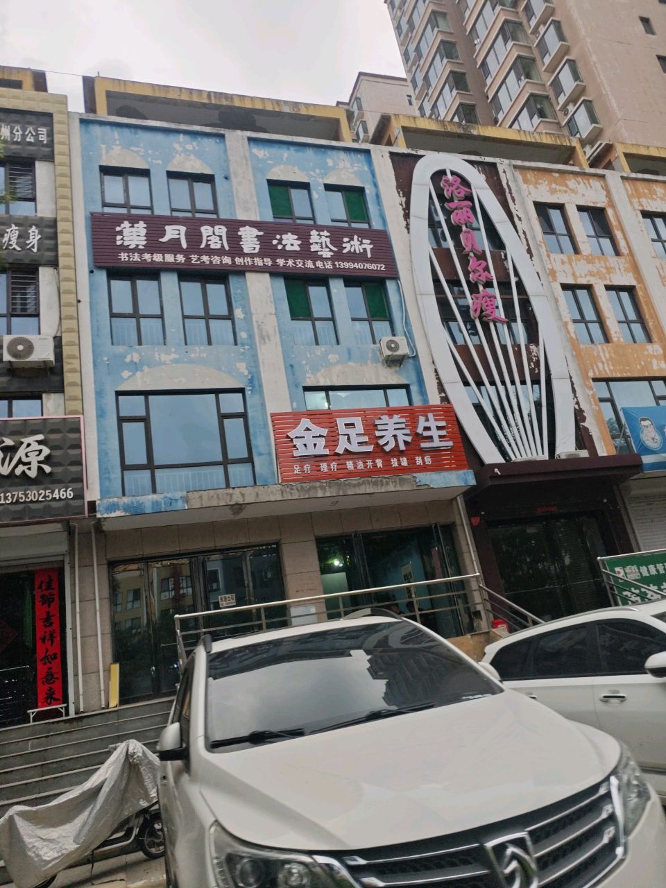 金足养生