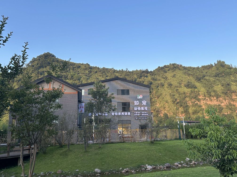 知宠动物医院