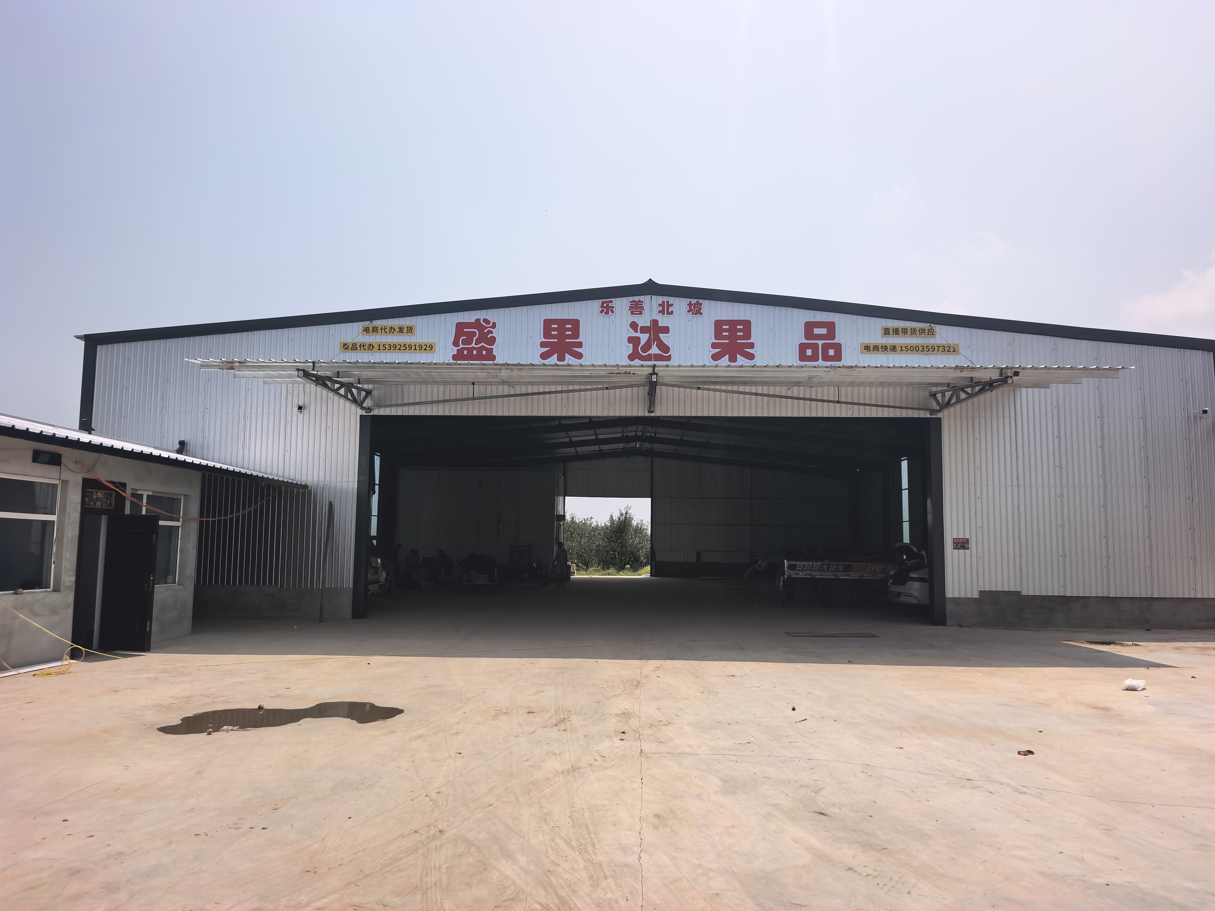 盛果达果品