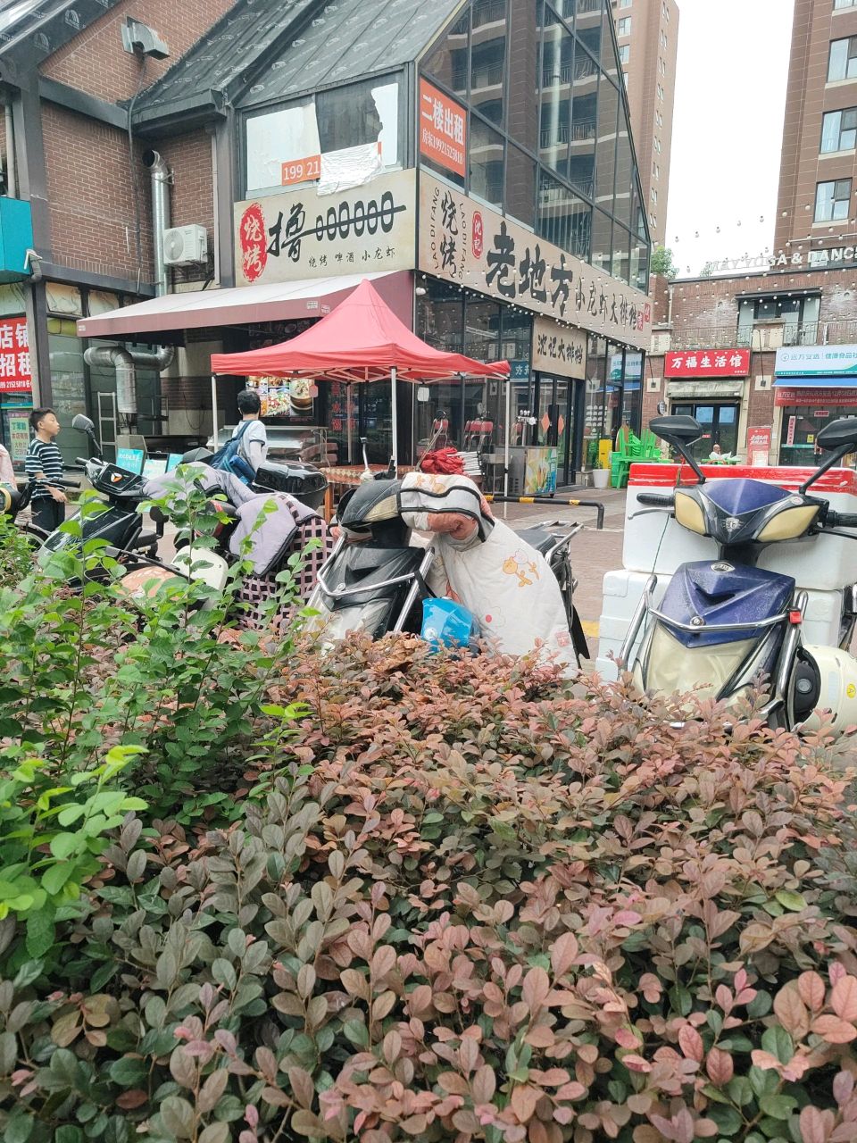 撸烧烤
