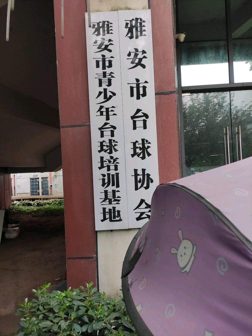 雅安市台球协会
